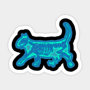 Kitty Cat Skeleton Illustration, XRAY Sticker